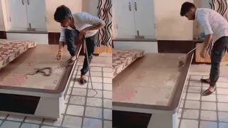 Man Finds Deadly Snake Under Bed Mattress; Viral Video Leaves Netizens Terror-Struck